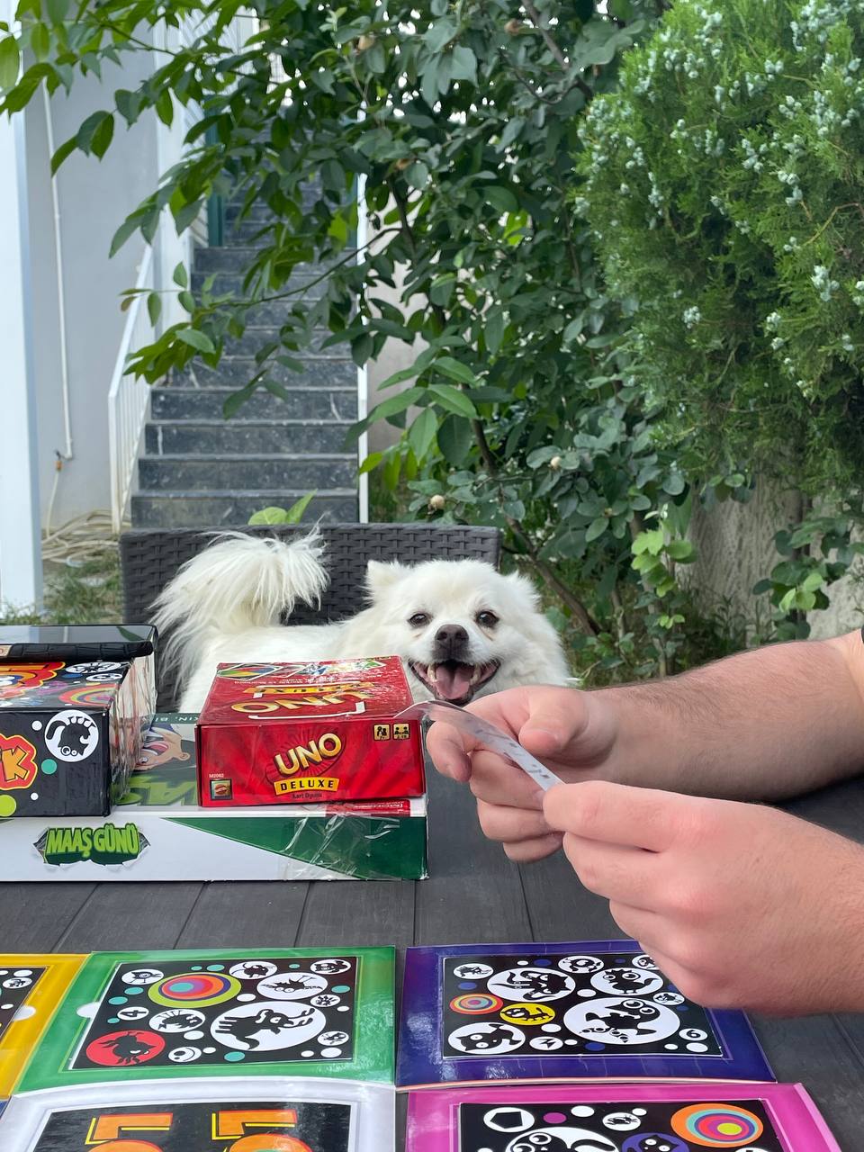 Loki ve UNO
